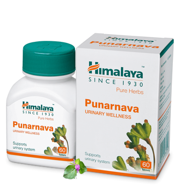 https://cdn.shopify.com/s/files/1/1857/6931/products/Punarnava_1024x1024_e70110ed-0b0d-4f4f-b42e-ea61b7380b40.png?v=1737560730
